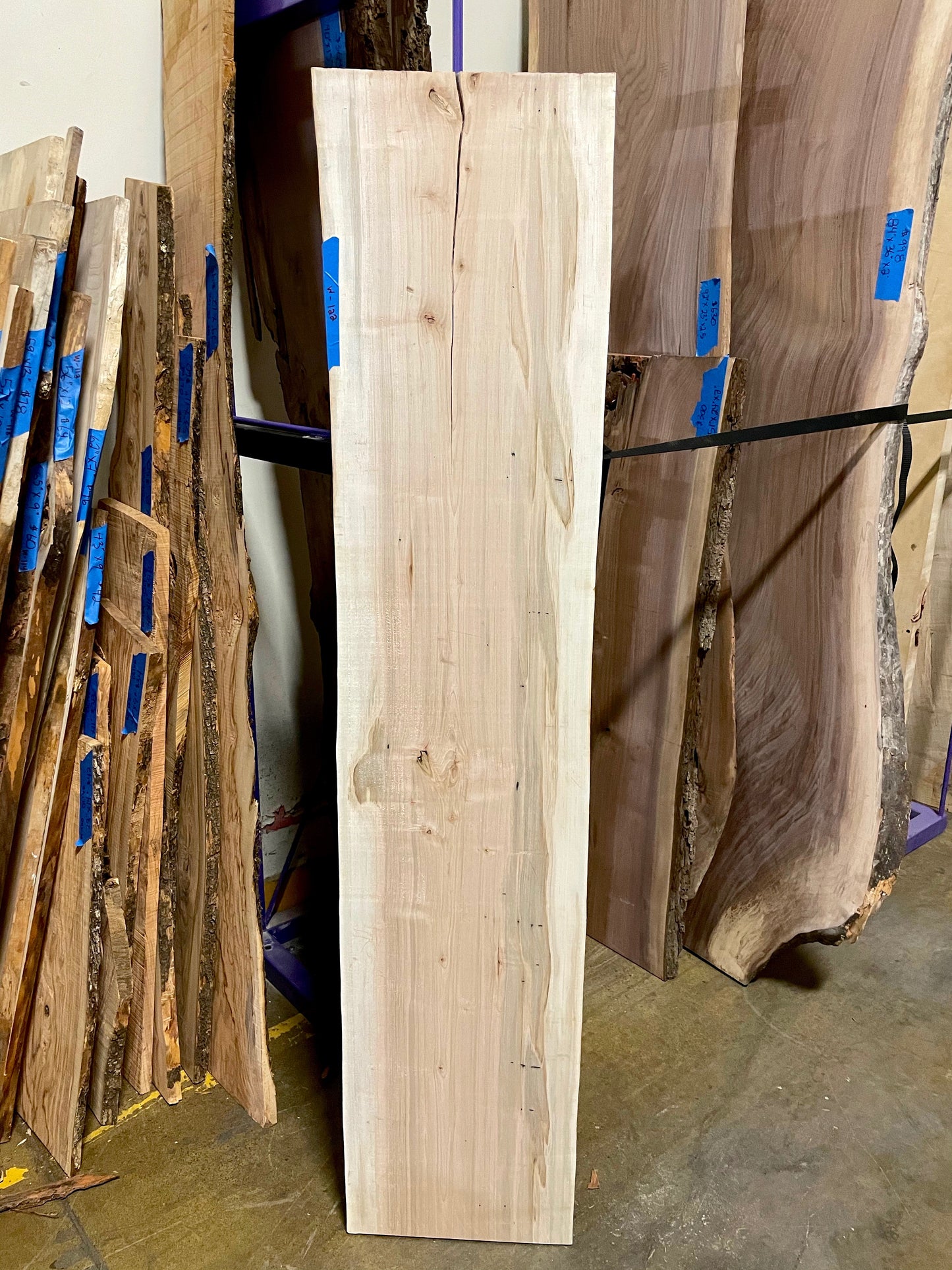 Maple Wood - W122