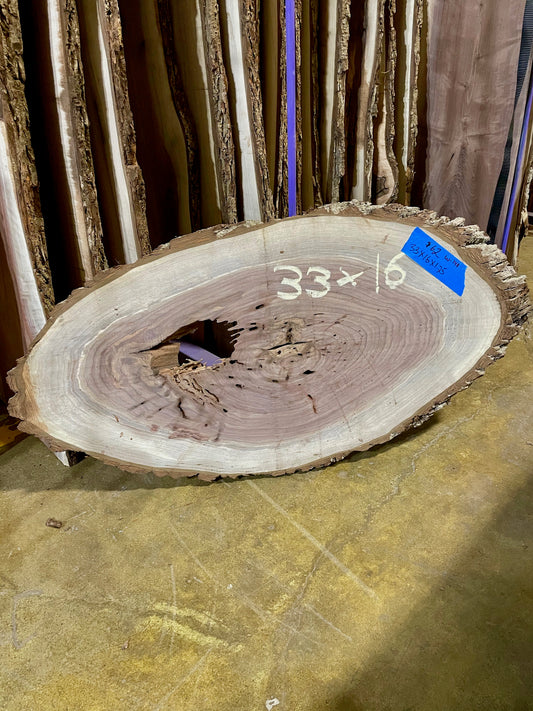 Black Walnut Wood - W148