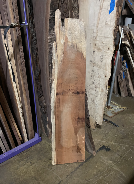 Black Walnut Wood - W169