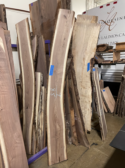 Black Walnut Wood - W174