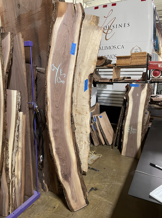 Black Walnut Wood - W177