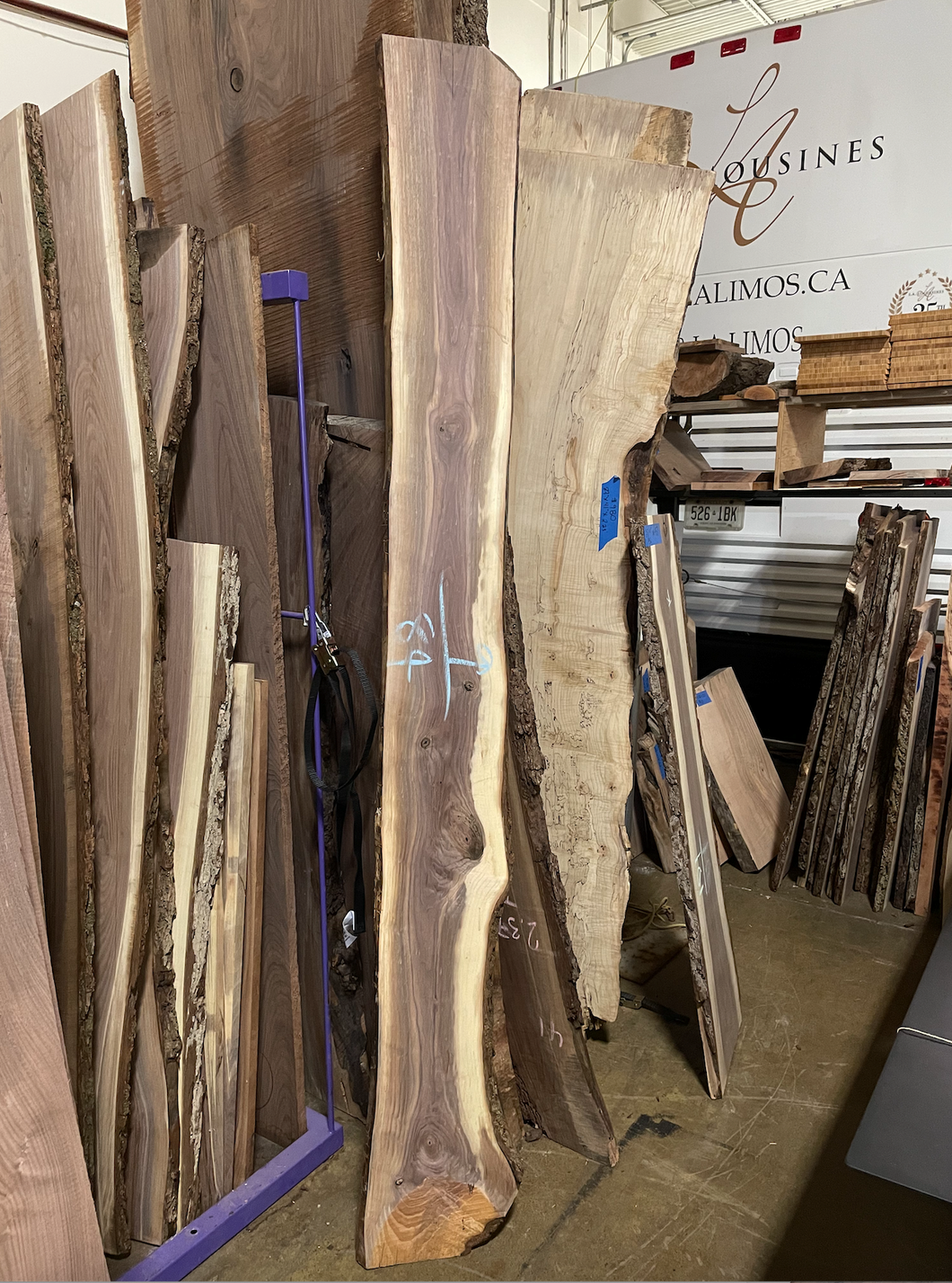 Black Walnut Wood - W175